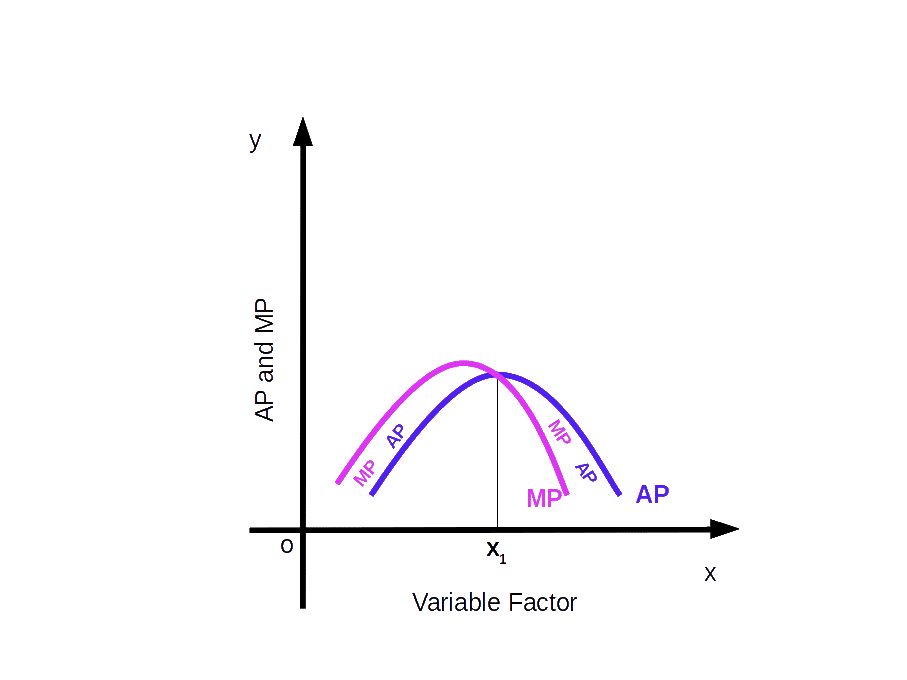 AP-MP-Curve