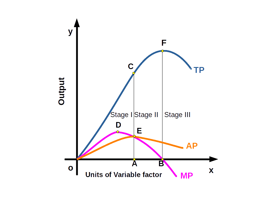 AP-MP-Curve