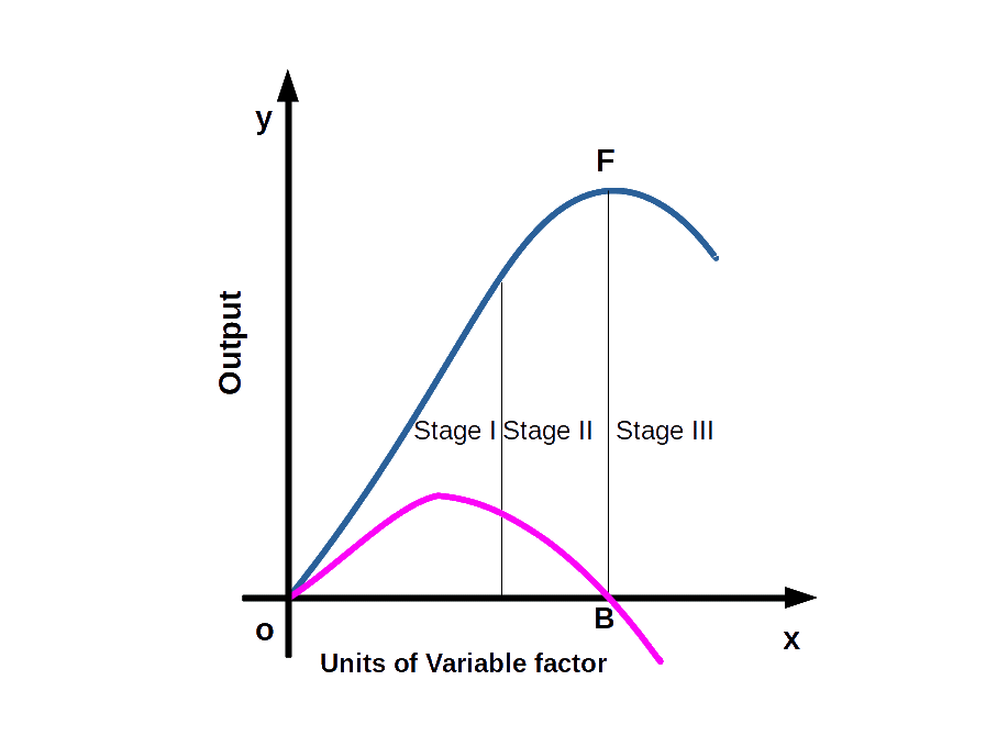 TP MP Curve